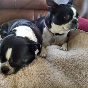 Meet your Posher, Vickie